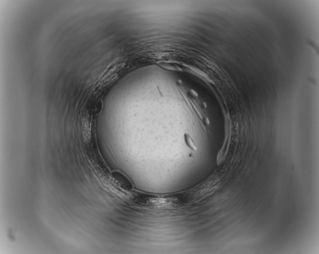 X0000100350558200806201544