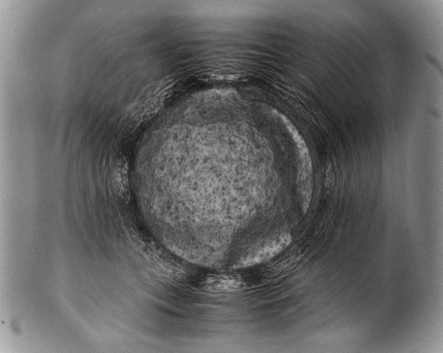 X0000100350559200806201544