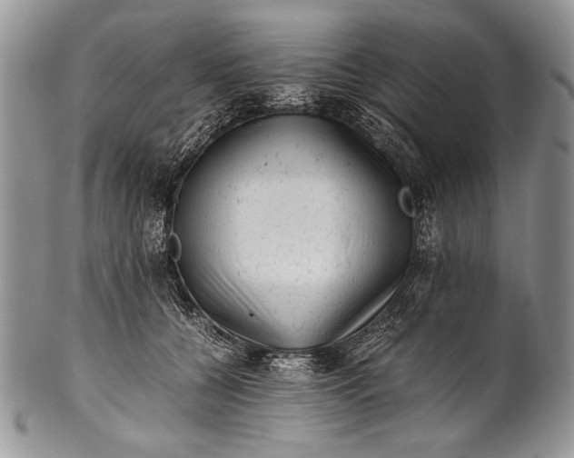 X0000100350560200806201544