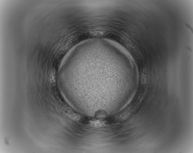 X0000100350561200806201544