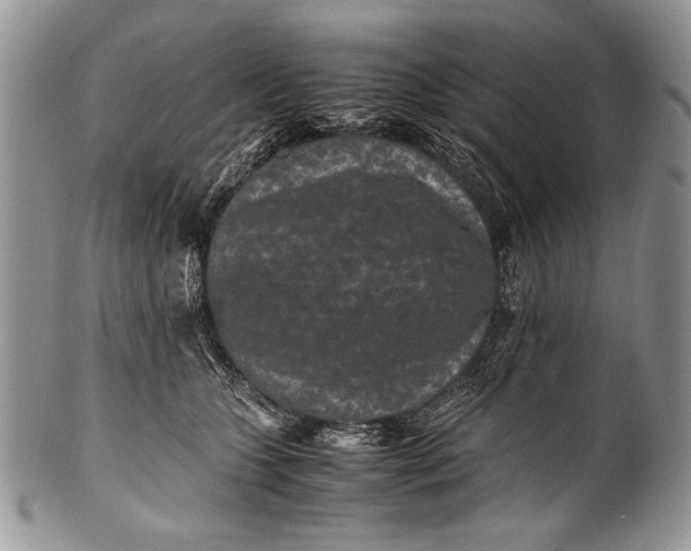 X0000100350563200806201544