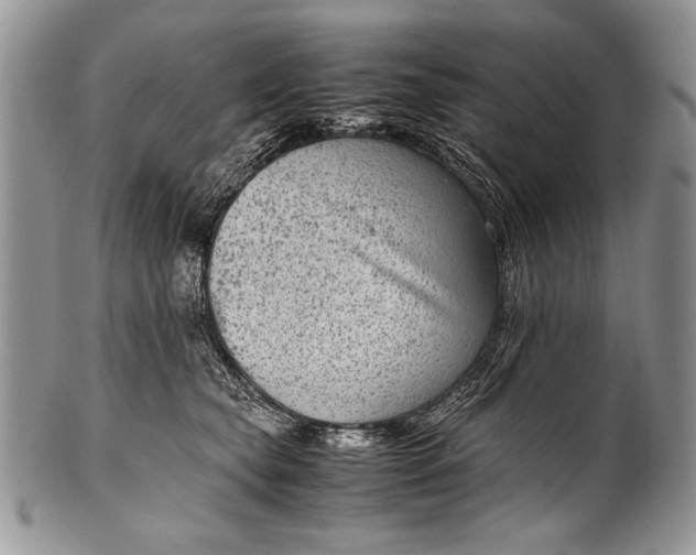 X0000100350565200806201544