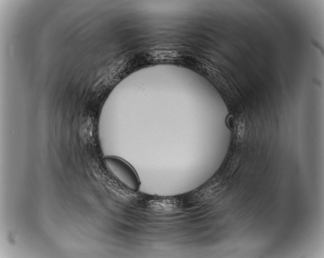 X0000100350567200806201544