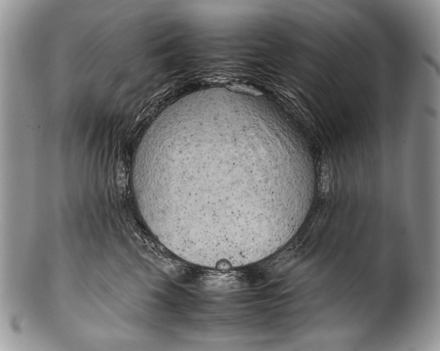 X0000100350569200806201544