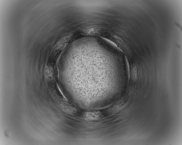 X0000100350571200806201544