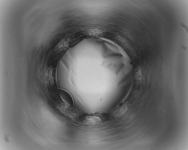 X0000100350572200806201544