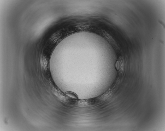 X0000100350574200806201544