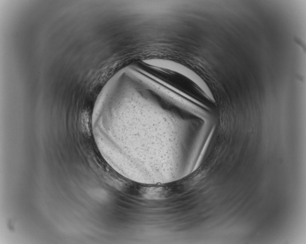 X0000100350575200806201544
