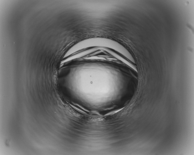 X0000100350576200806201544
