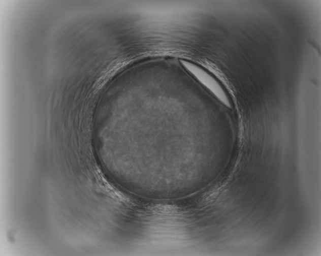X0000100350577200806201543