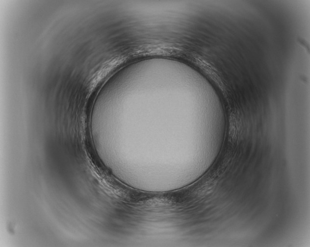 X0000100350578200806201543