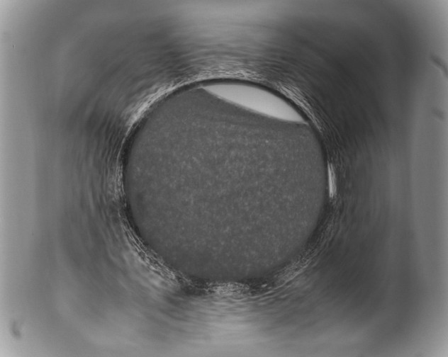 X0000100350579200806201543
