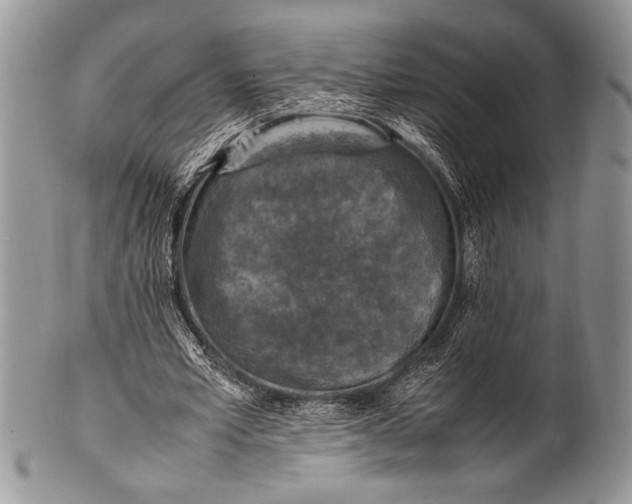 X0000100350581200806201543