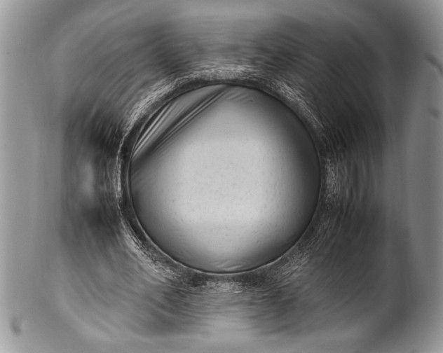 X0000100350582200806201543