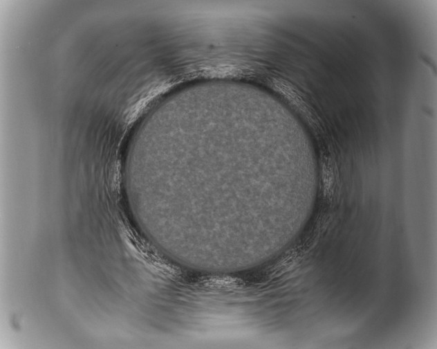 X0000100350583200806201543