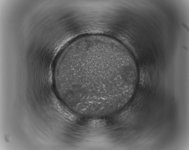 X0000100350584200806201543