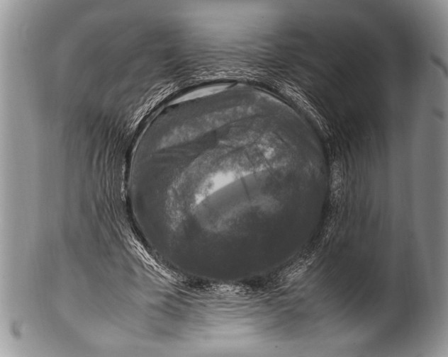 X0000100350585200806201543