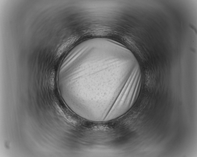X0000100350586200806201543