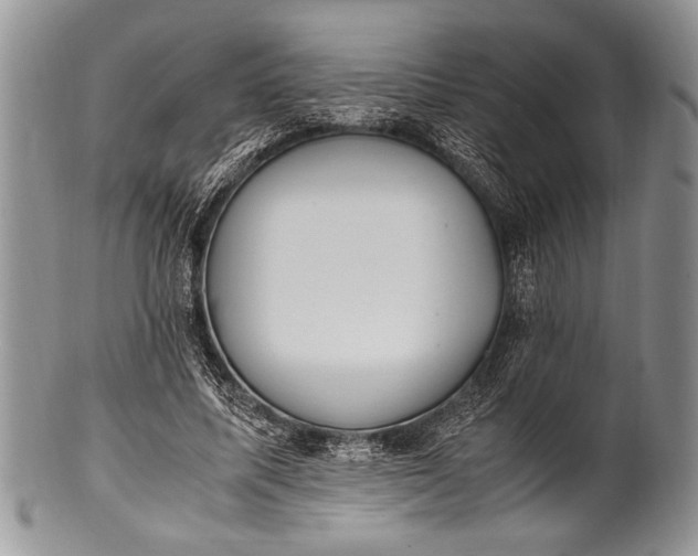 X0000100350587200806201543