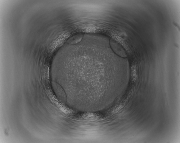 X0000100350589200806201543