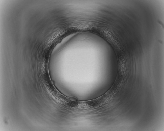 X0000100350591200806201543