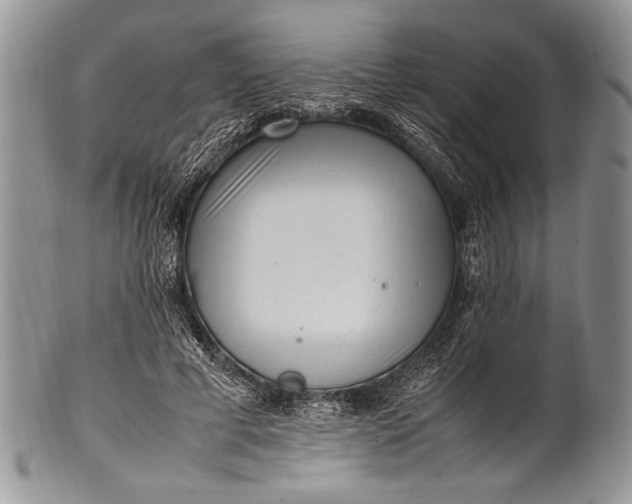 X0000100350593200806201543