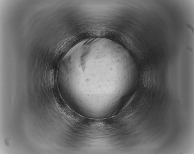 X0000100350594200806201543
