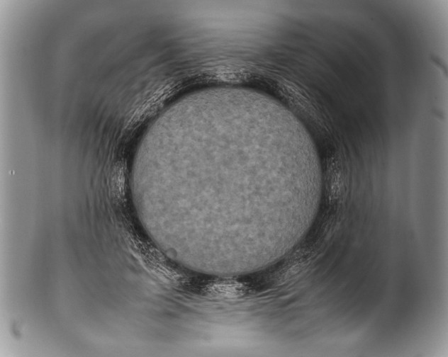 X0000100350595200806201543