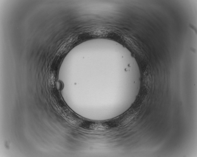 X0000100350597200806201543