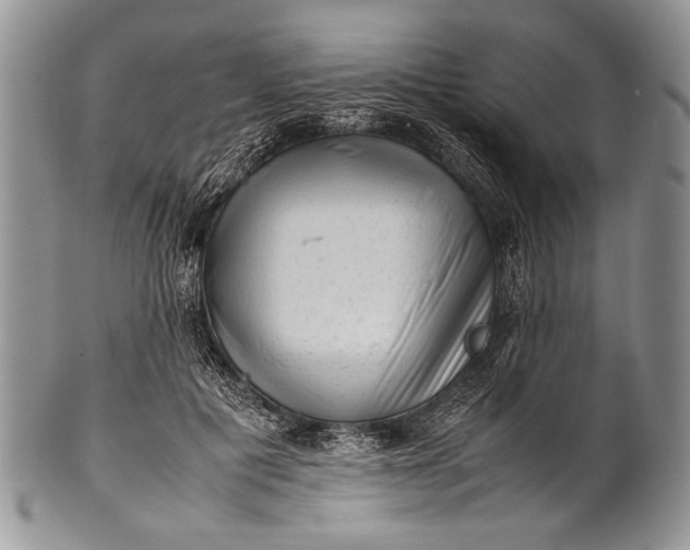 X0000100350601200806201543