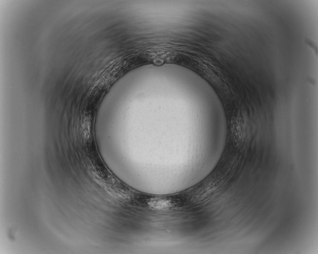 X0000100350602200806201543