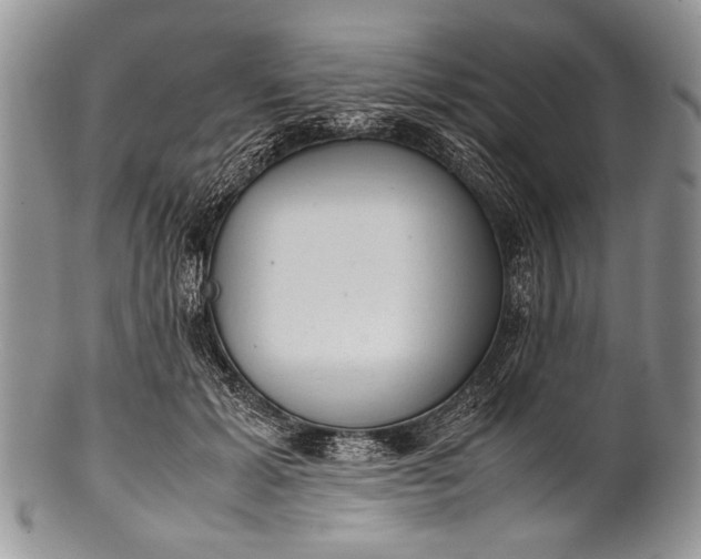 X0000100350605200806201543