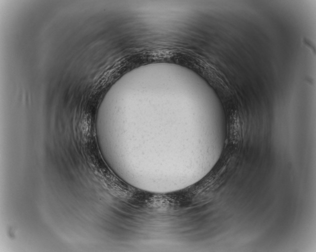 X0000100350608200806201543