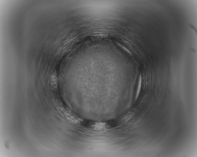 X0000100350609200806201543