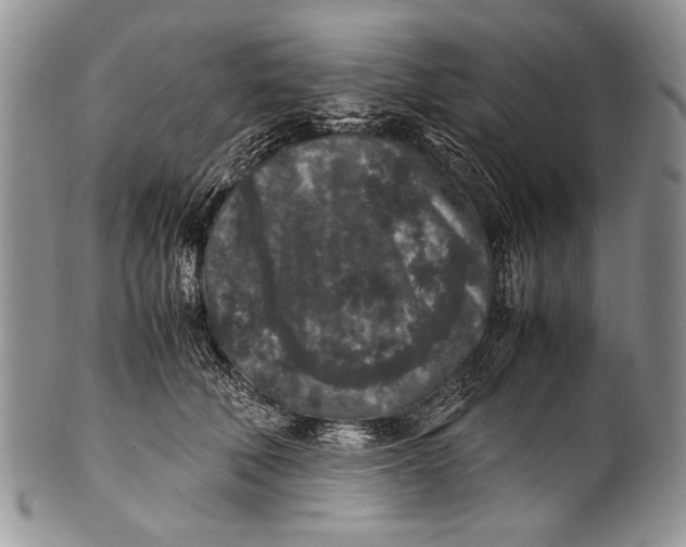 X0000100350610200806201543