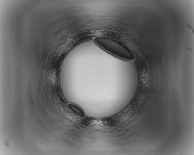 X0000100350611200806201543