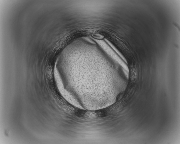 X0000100350613200806201543