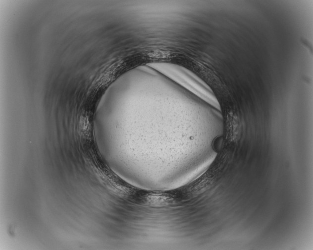 X0000100350614200806201543