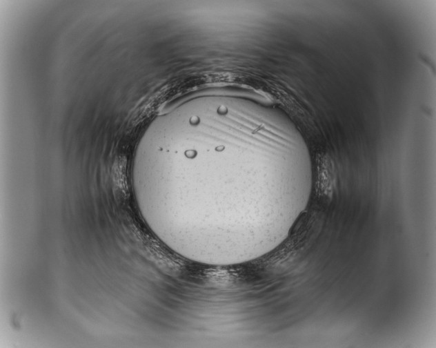 X0000100350616200806201543