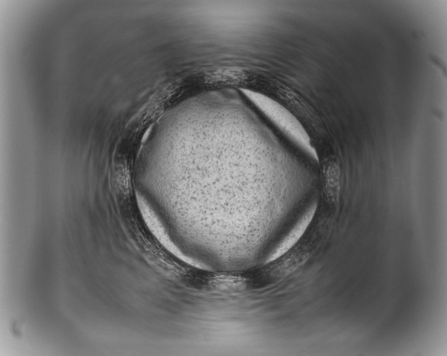X0000100350617200806201543