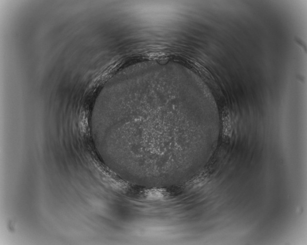 X0000100350618200806201543