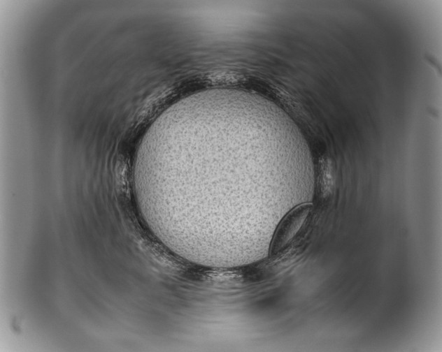 X0000100350619200806201543