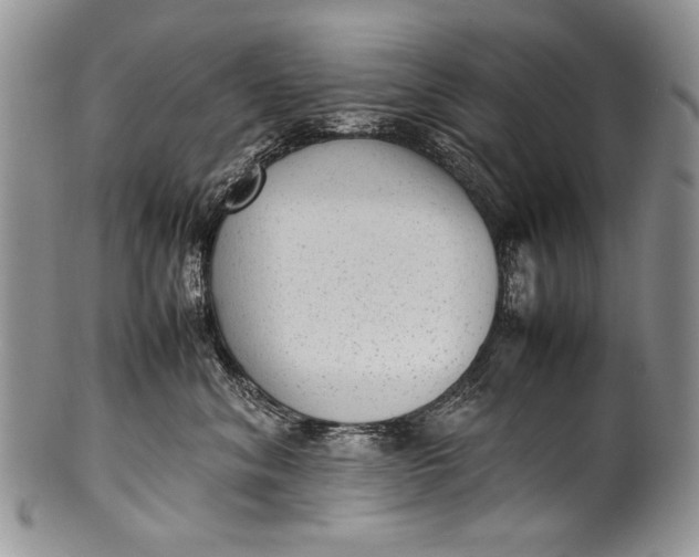 X0000100350620200806201543