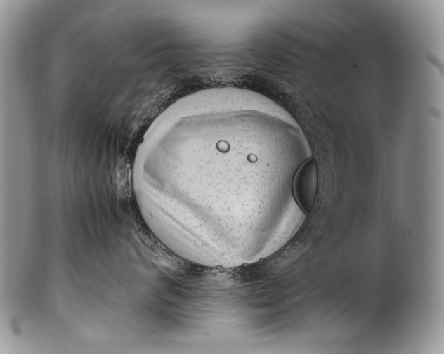 X0000100350624200806201543