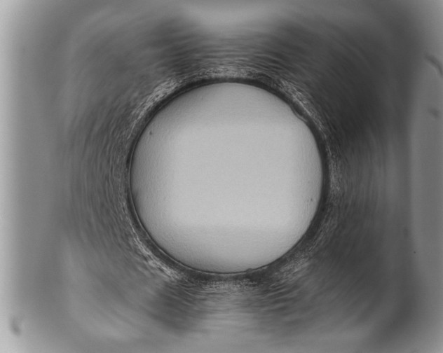 X0000100350625200806201542