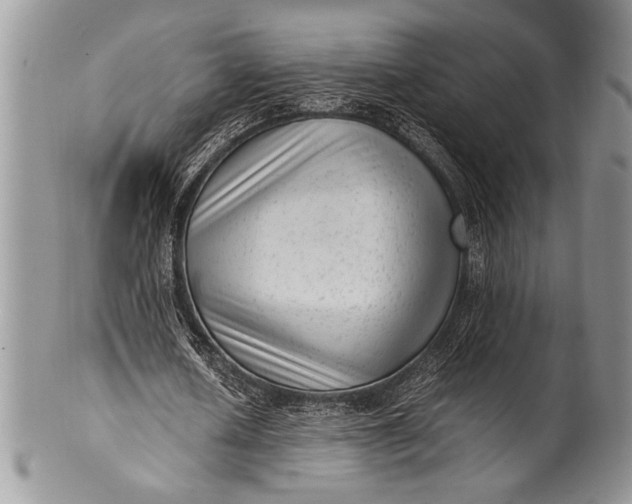 X0000100350626200806201542