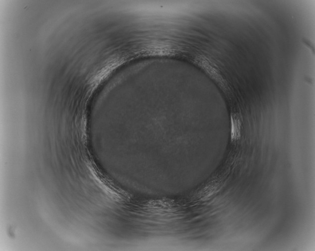 X0000100350627200806201542