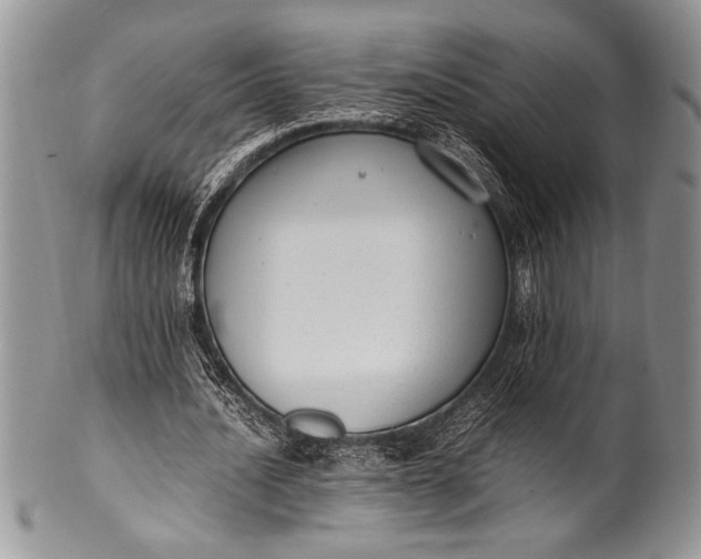 X0000100350628200806201542
