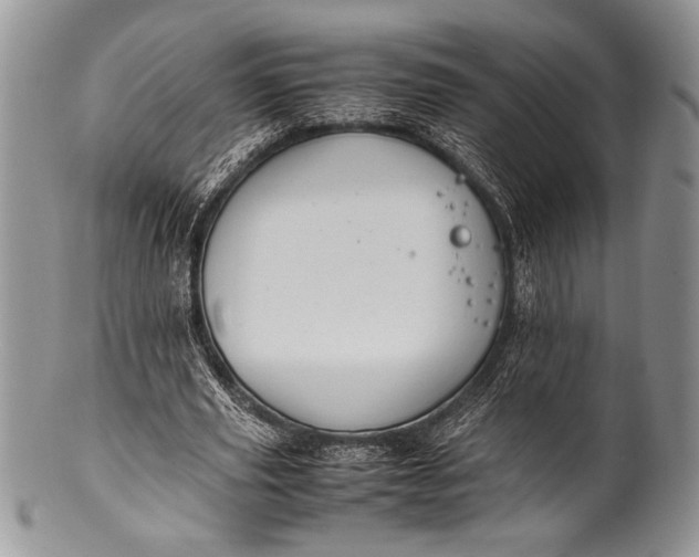 X0000100350629200806201542