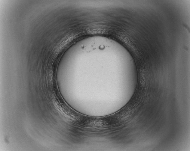 X0000100350631200806201542